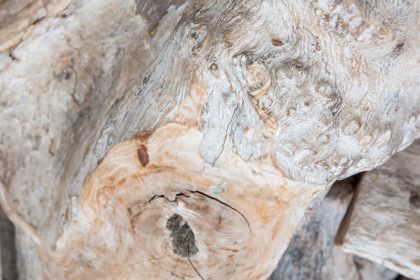 Consola de tronco rústica tono blanqueado